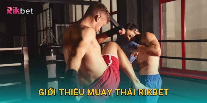 Giới thiệu Muay Thái Rikbet