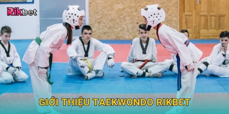 Giới thiệu Taekwondo Rikbet