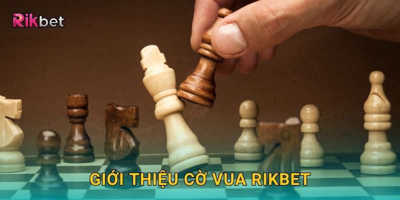 Giới thiệu Cờ Vua Rikbet