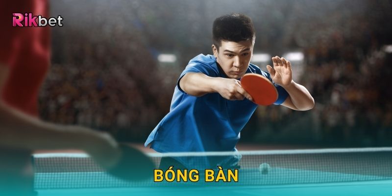 Bóng Bàn – Tốc độ và phản xạ cực nhanh tại Rikbet