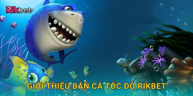 Giới thiệu Bắn Cá Tốc Độ Rikbet